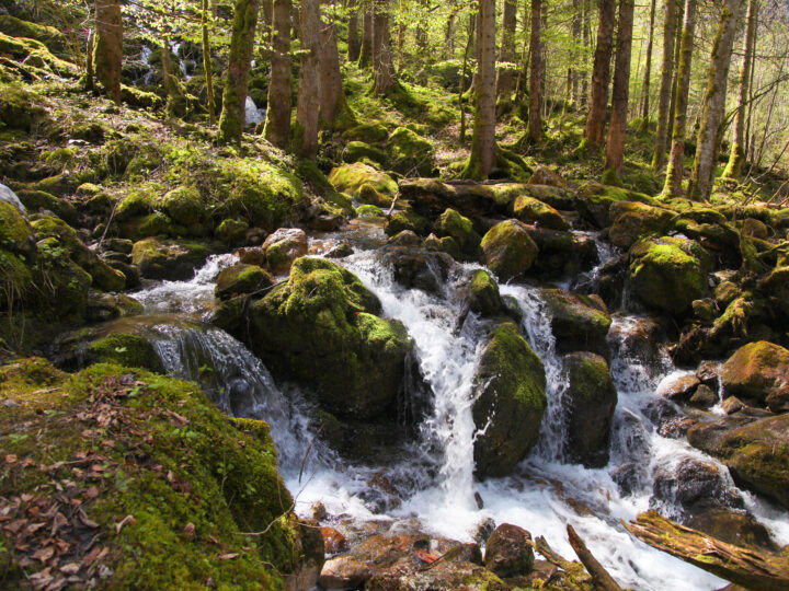 Beautiful waterfall in the forest 2026 01 07 05 42 13 utc