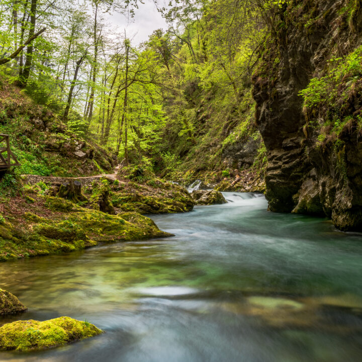 Vintgar gorge in early spring 2026 01 07 01 40 42 utc